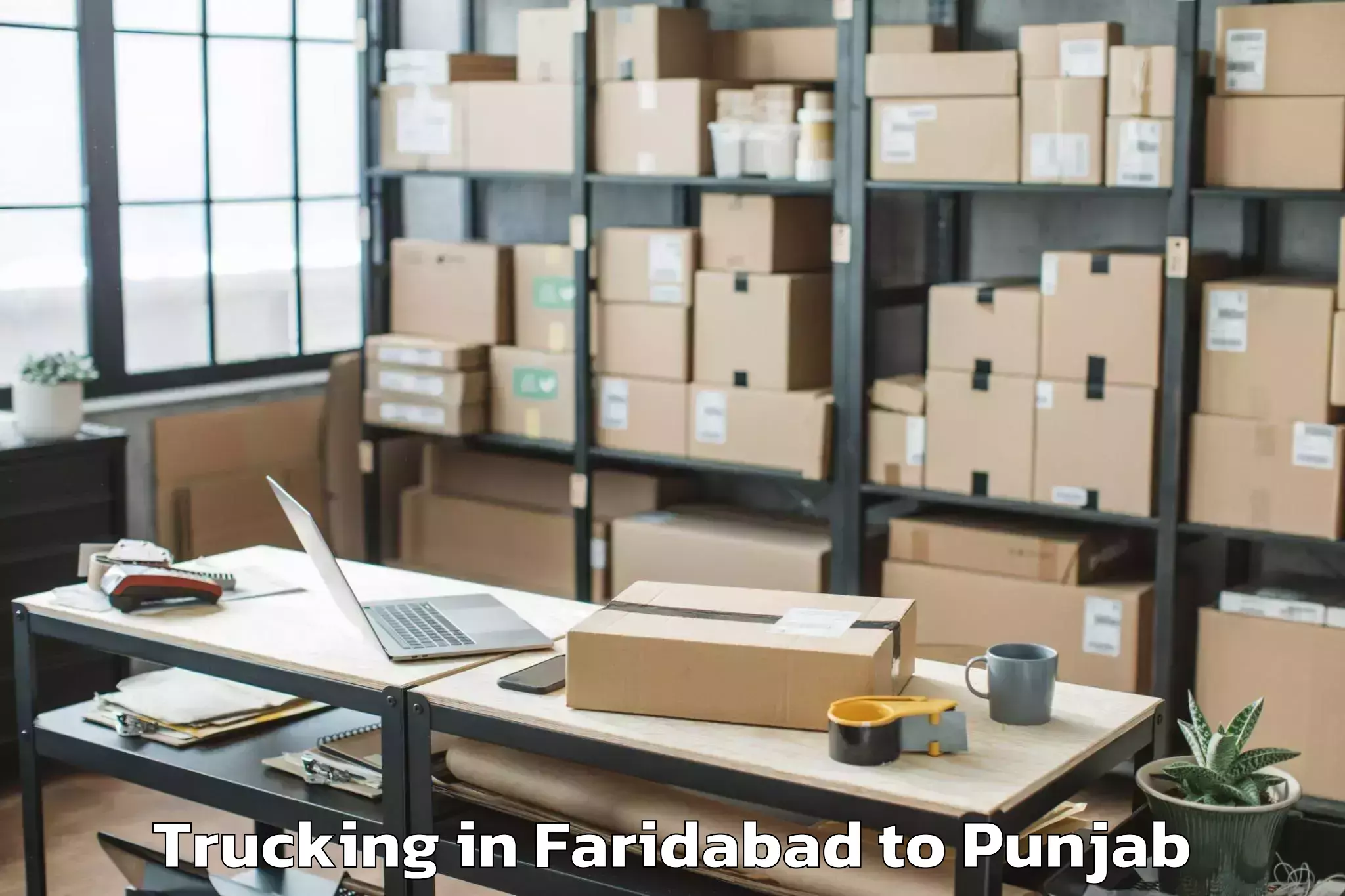 Easy Faridabad to Vr Ambarsar Mall Trucking Booking